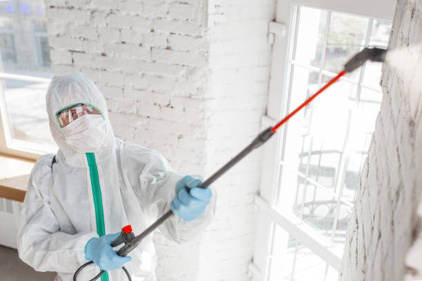 Best Mold Removal for HVAC Installations  in Oak Grove, AL