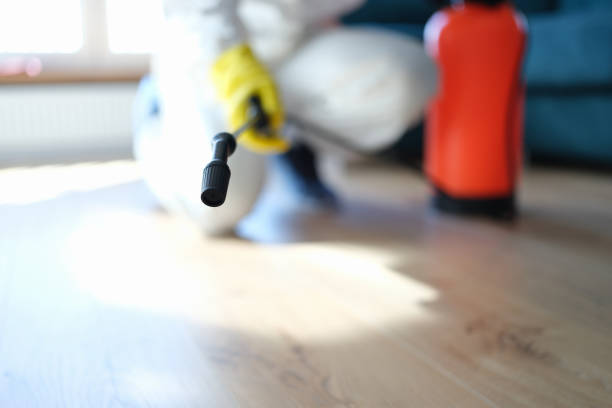 Best Commercial Mold Inspection  in Oak Grove, AL