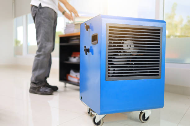 Best Basement Mold Removal  in Oak Grove, AL