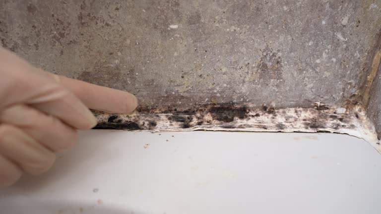 Best Comprehensive Air Testing for Mold Contaminants  in Oak Grove, AL